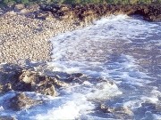 Isola di Mljet - spiaggia, mare e rocce